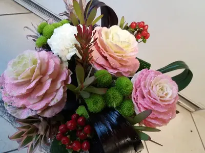 Kamelia. Kwiaciarnia. Mączyńska A.